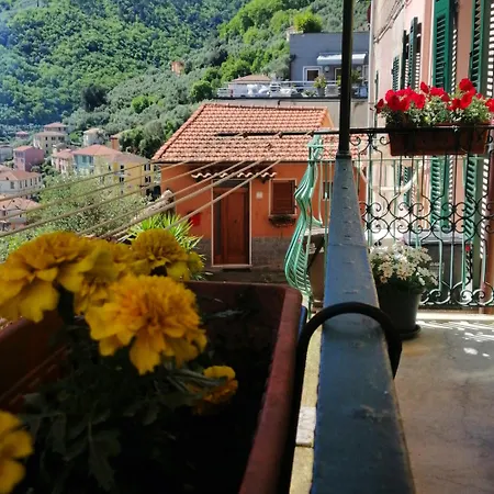 Apartment Domvs Flavia La Spezia