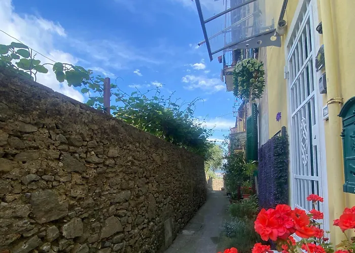 Domvs Flavia Διαμέρισμα *